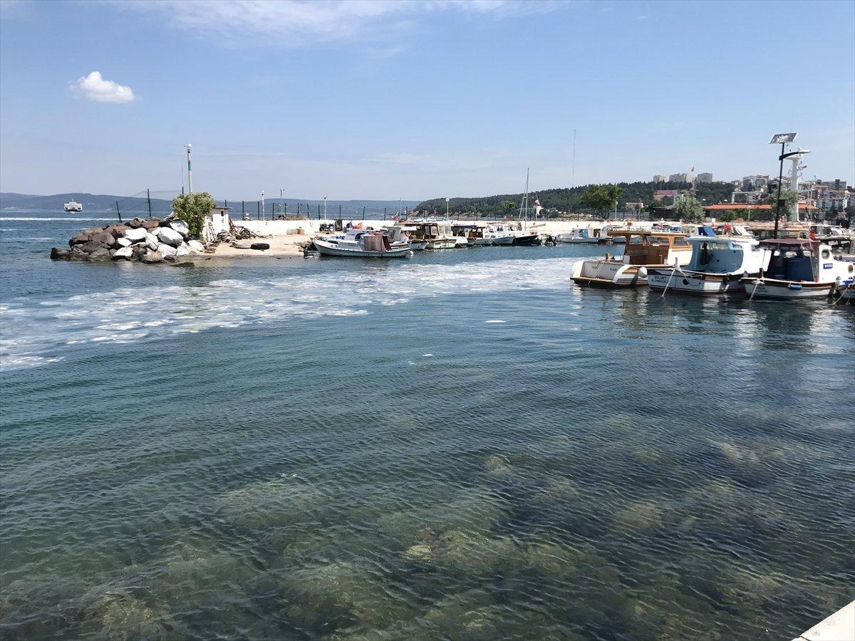 Müsilajdan kozmetik jel ve krem yapılacak