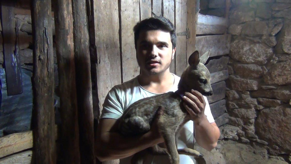 Balıkesir’de kaybolan yavru karacaya keçi annelik yapıyor