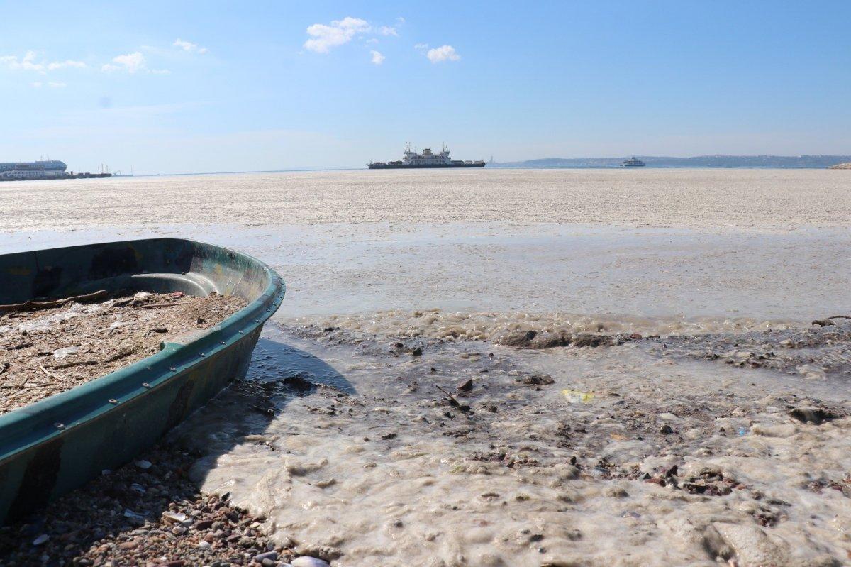 Müsilaj Meclis araştırma komisyonu kararı Resmi Gazete'de