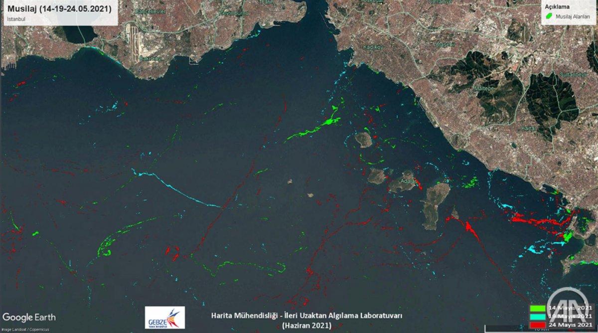 Marmara Denizi'ndeki müsilajın yoğunluk ve değişim haritaları çıkarıldı