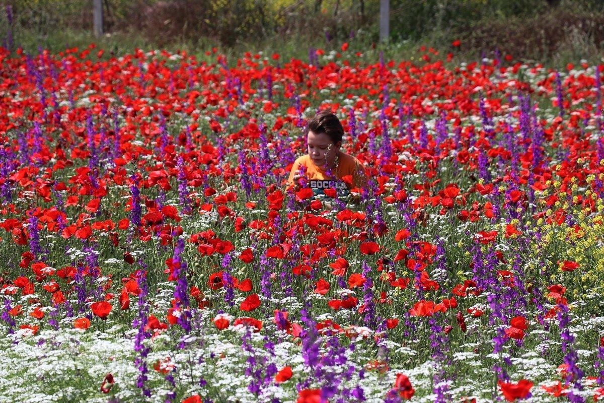 Kütahya'da görsel şölen