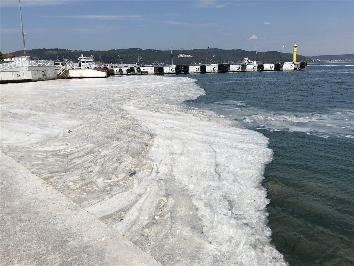 Müsilajdan kozmetik jel ve krem yapılacak