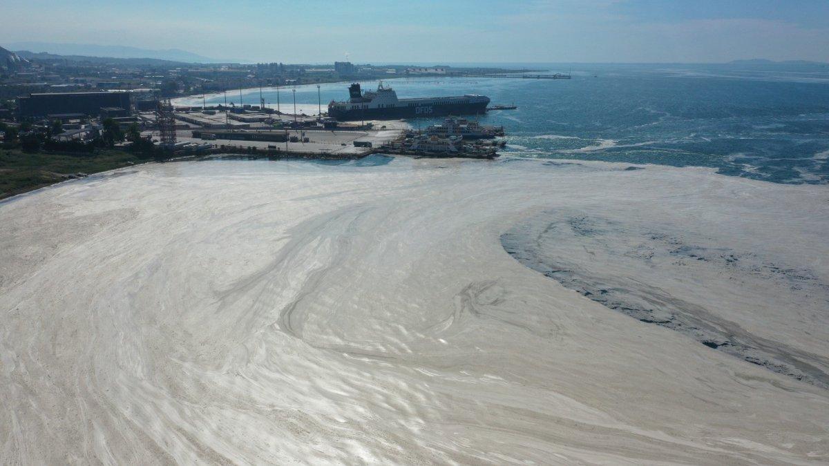 Müsilaj Meclis araştırma komisyonu kararı Resmi Gazete'de