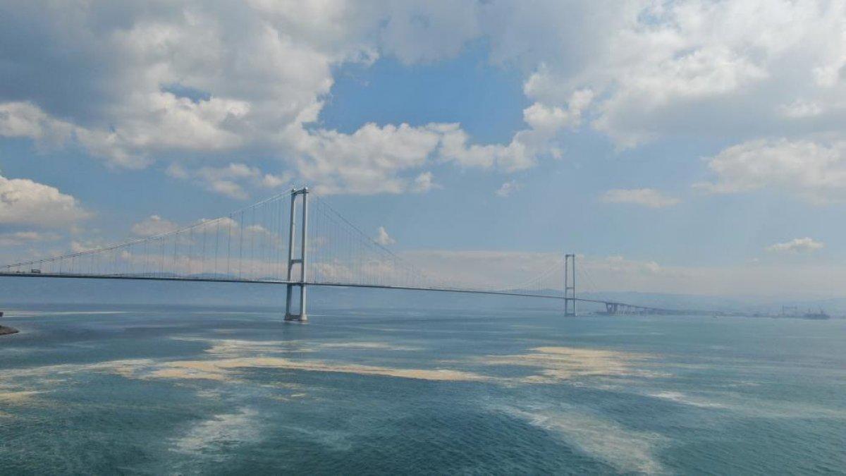 Osmangazi Köprüsü’nün etrafını deniz salyası sardı