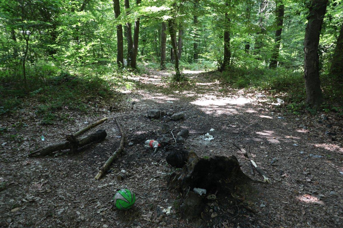 İstanbul'da piknikçiler yine ormanı çöplüğü çevirdi