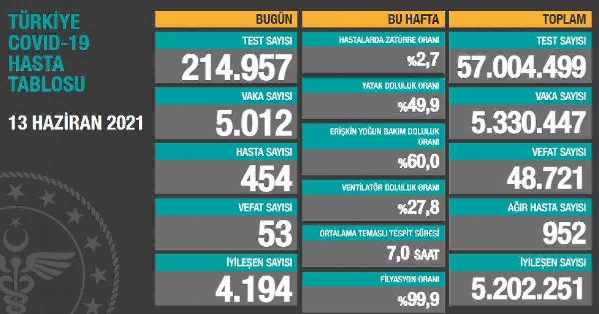 13 Haziran Türkiye'nin koronavirüs tablosu
