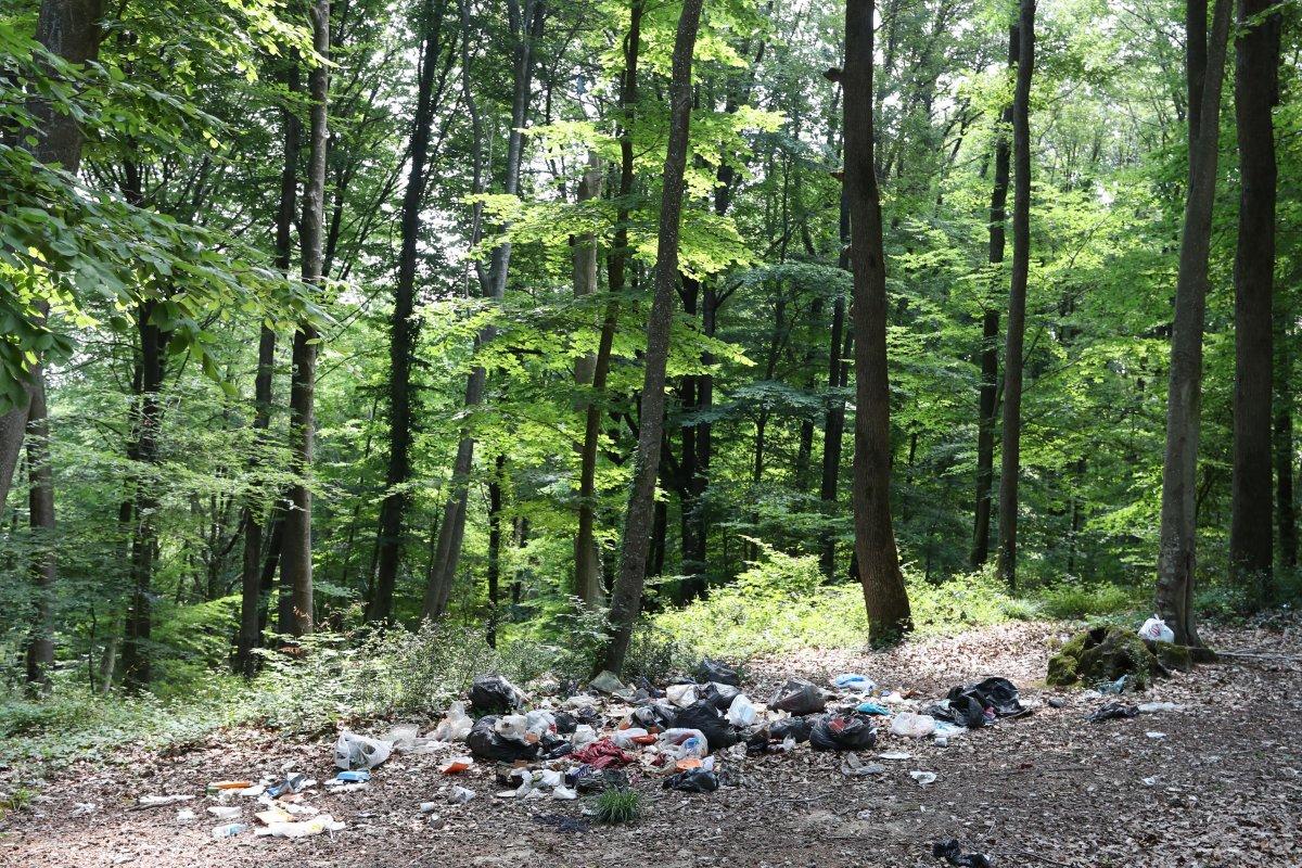 İstanbul'da piknikçiler yine ormanı çöplüğü çevirdi