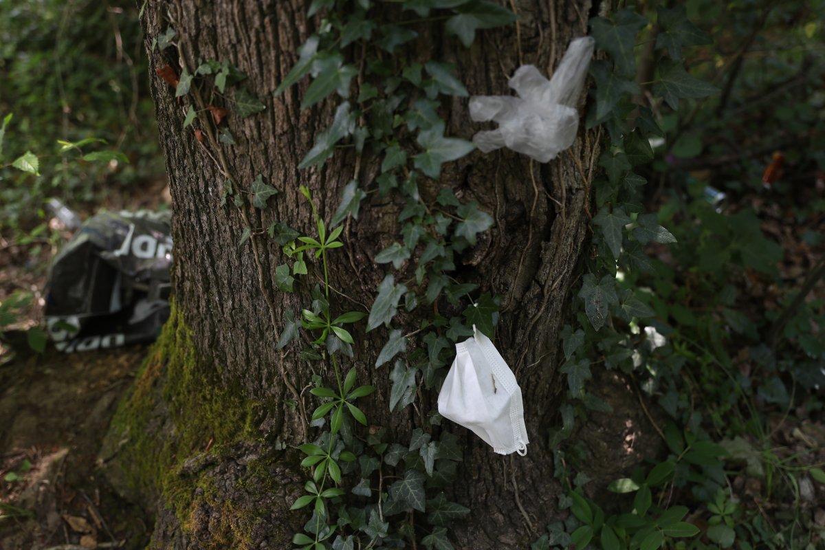 İstanbul'da piknikçiler yine ormanı çöplüğü çevirdi