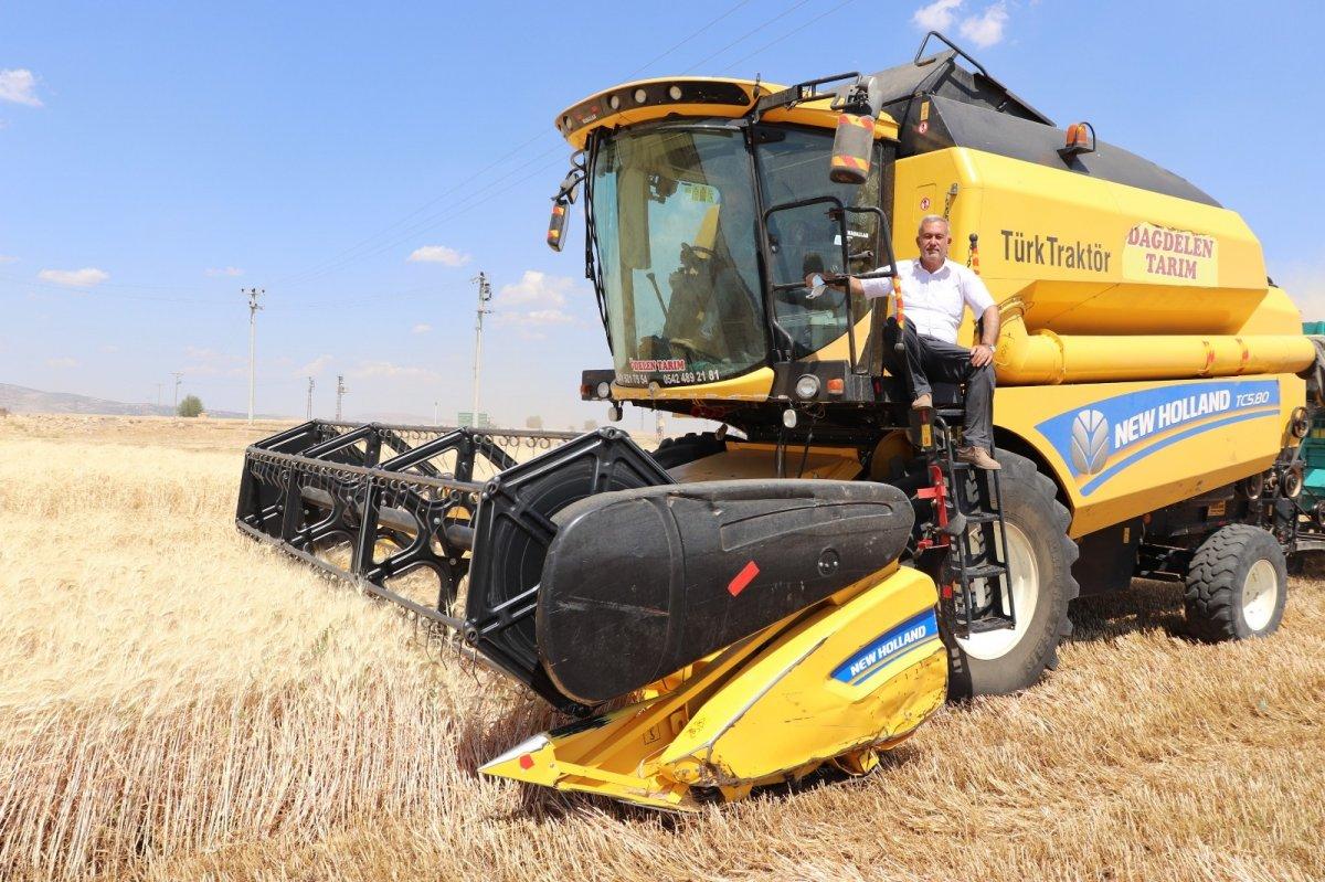 Araban buğdayı hasadı başladı