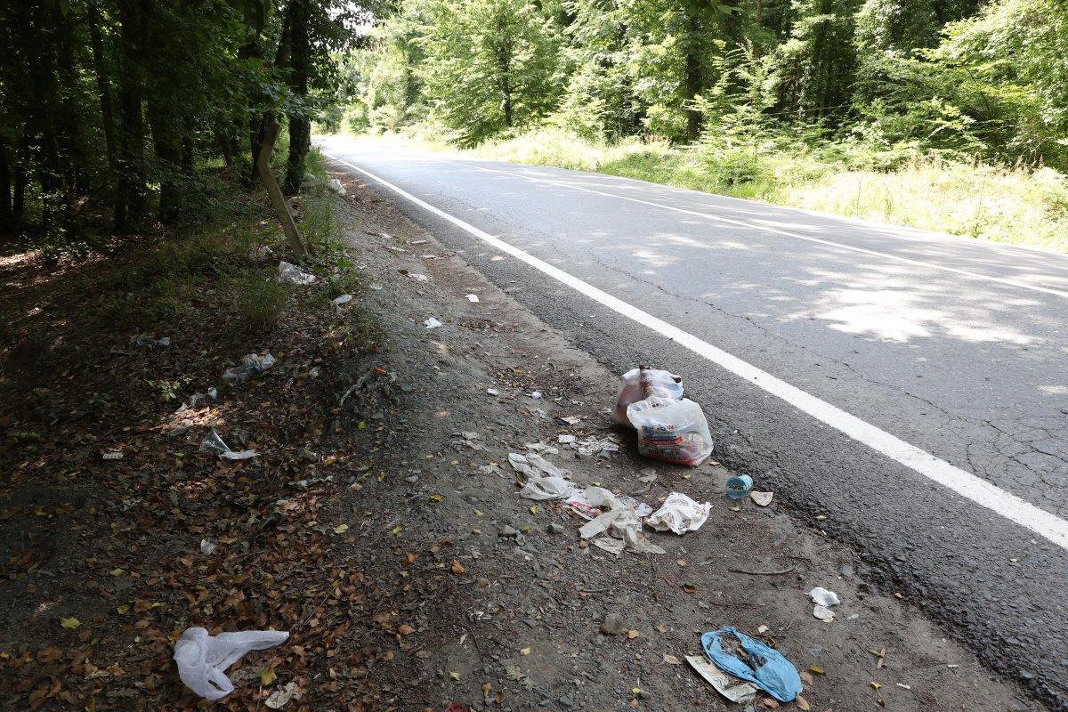 İstanbul'da piknikçiler yine ormanı çöplüğü çevirdi