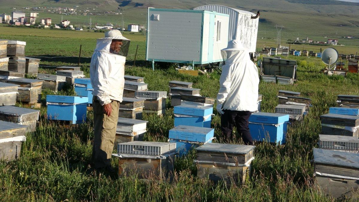 Arıcılık kuraklıktan olumsuz etkilendi