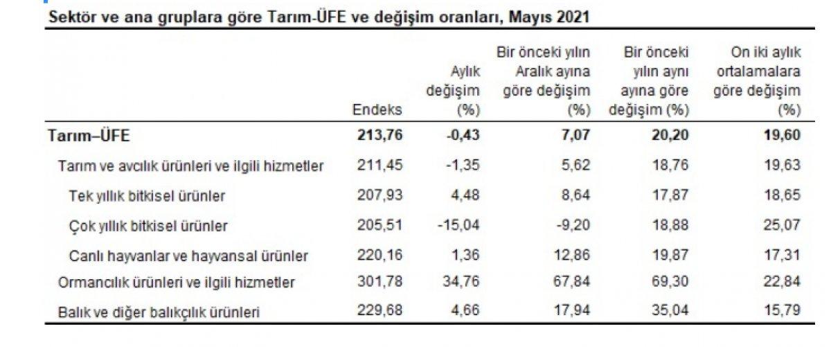 Tarım ürünleri üretici fiyat endeksi
