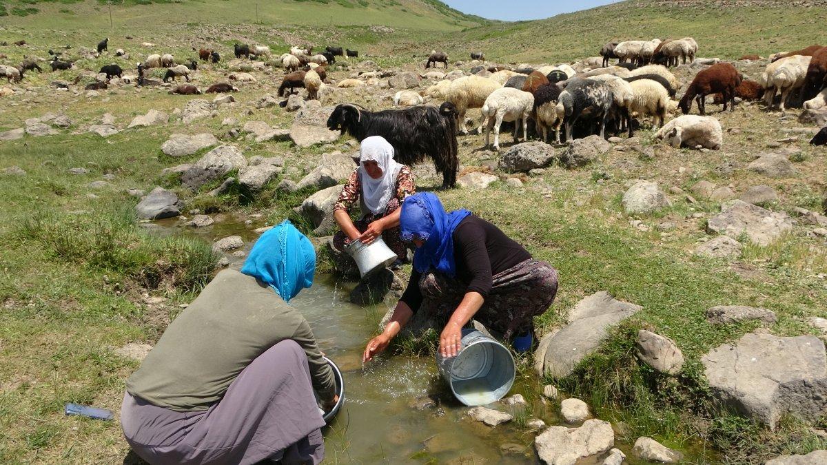 Muş'ta berivanların ömrü at sırtında geçiyor