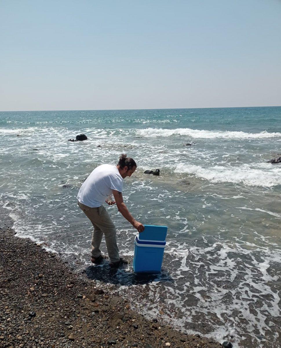 Doğu Akdeniz'de müsilaj endişesi