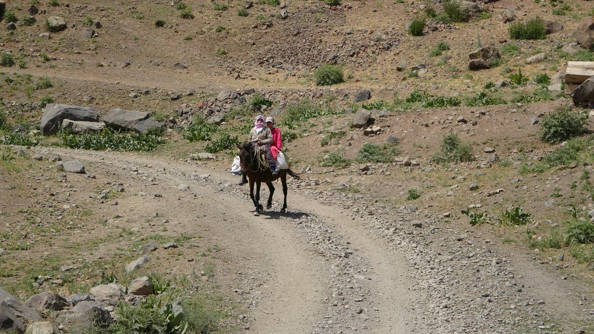 Muş'ta berivanların ömrü at sırtında geçiyor