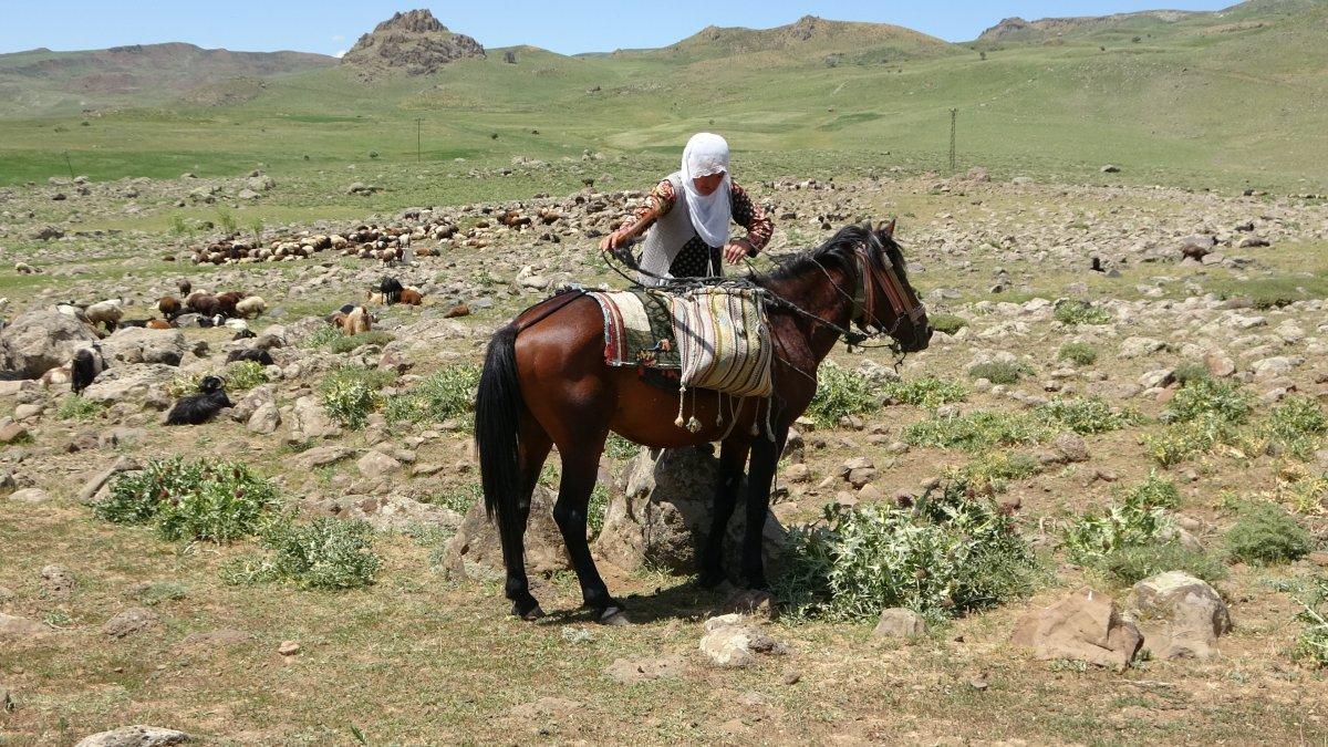 Muş'ta berivanların ömrü at sırtında geçiyor