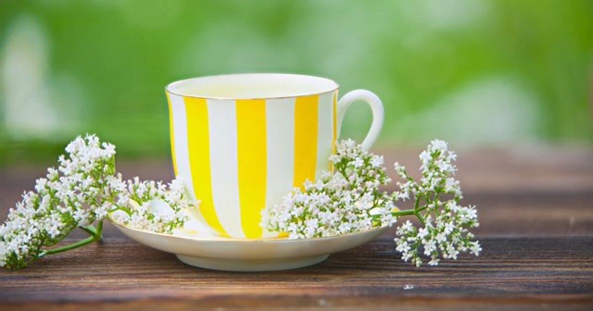 Siyatik ağrısını azaltmak için 10 doğal çözüm