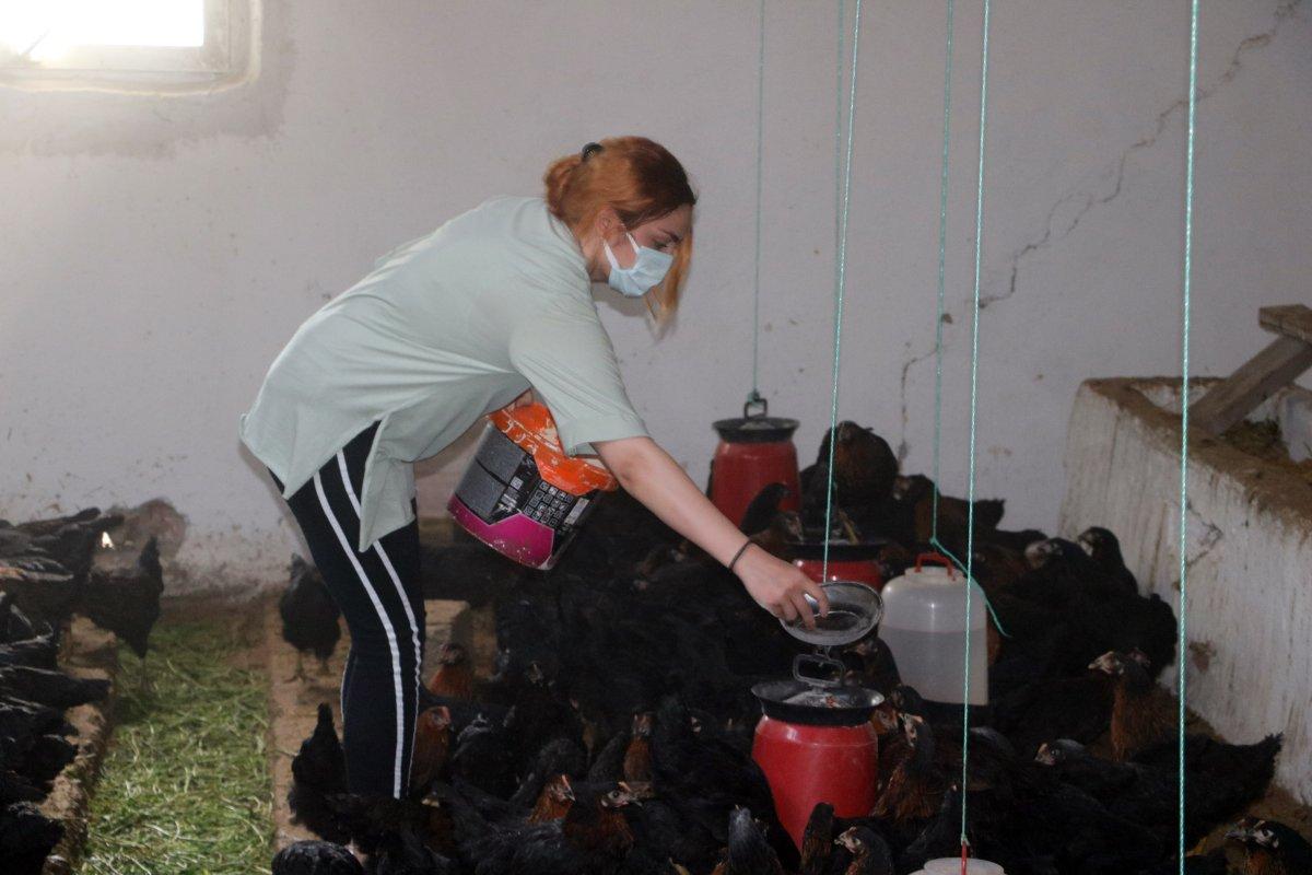Yozgat’ta üniversiteyi bırakıp, tavuk çiftliği kurdu