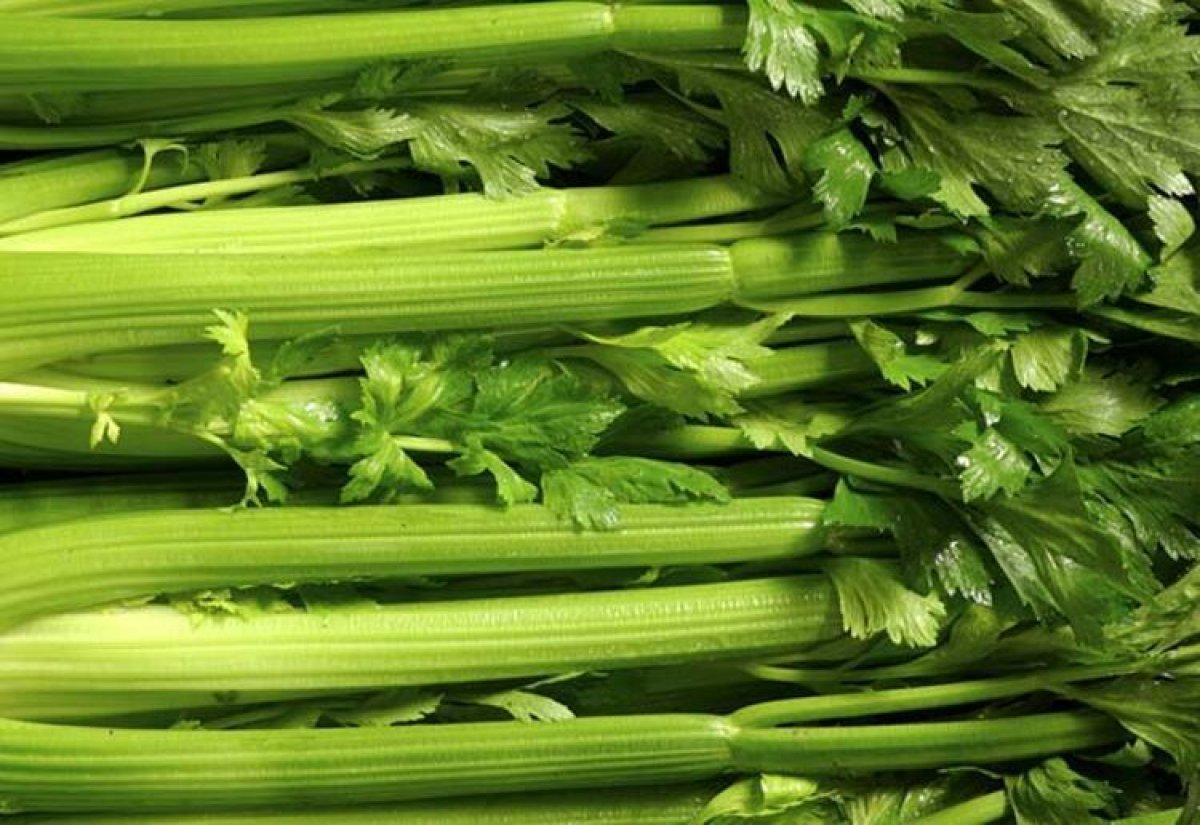 Siyatik ağrısını azaltmak için 10 doğal çözüm