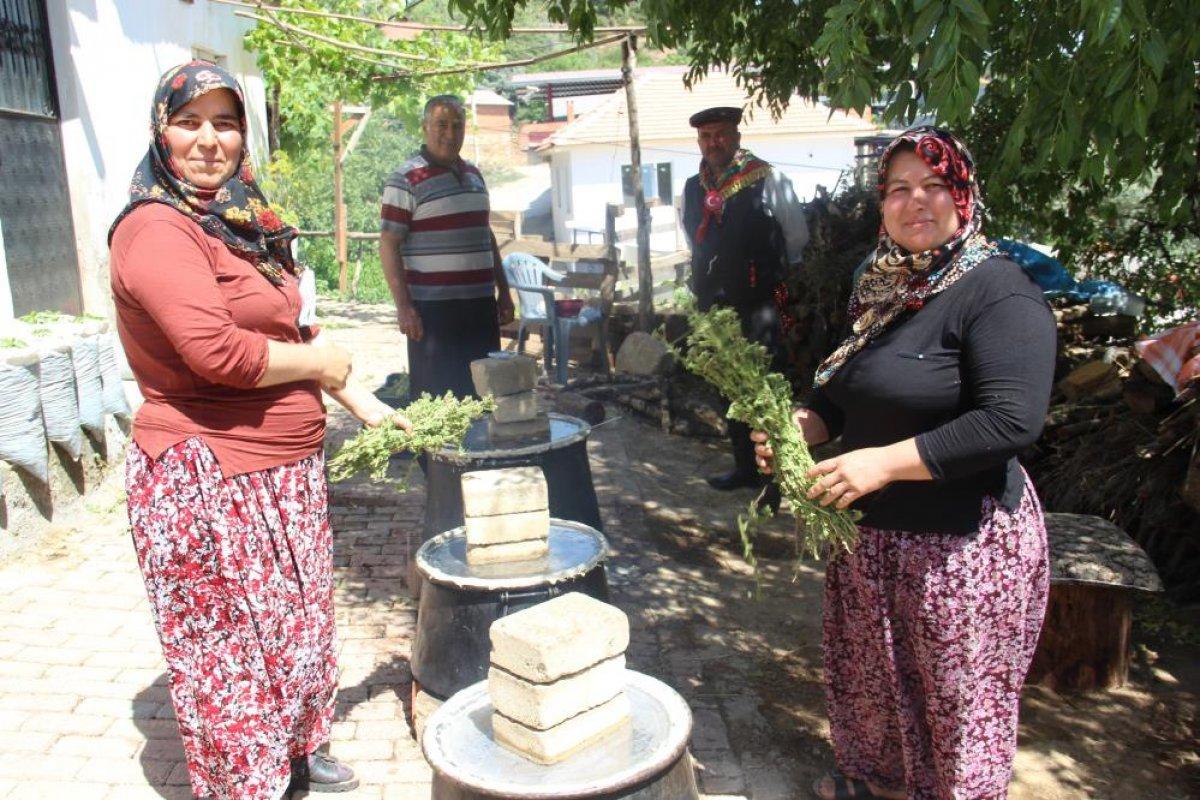 Aydınlı kadınlar, koronadan korunmak için kekik suyu çıkarıyor