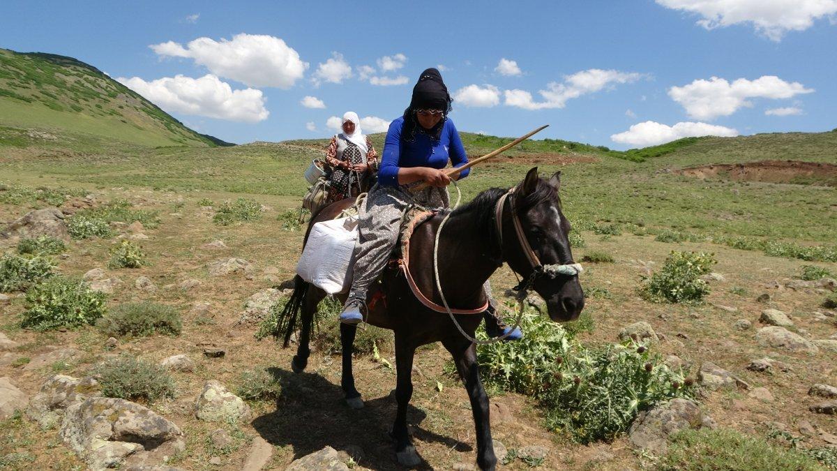 Muş'ta berivanların ömrü at sırtında geçiyor