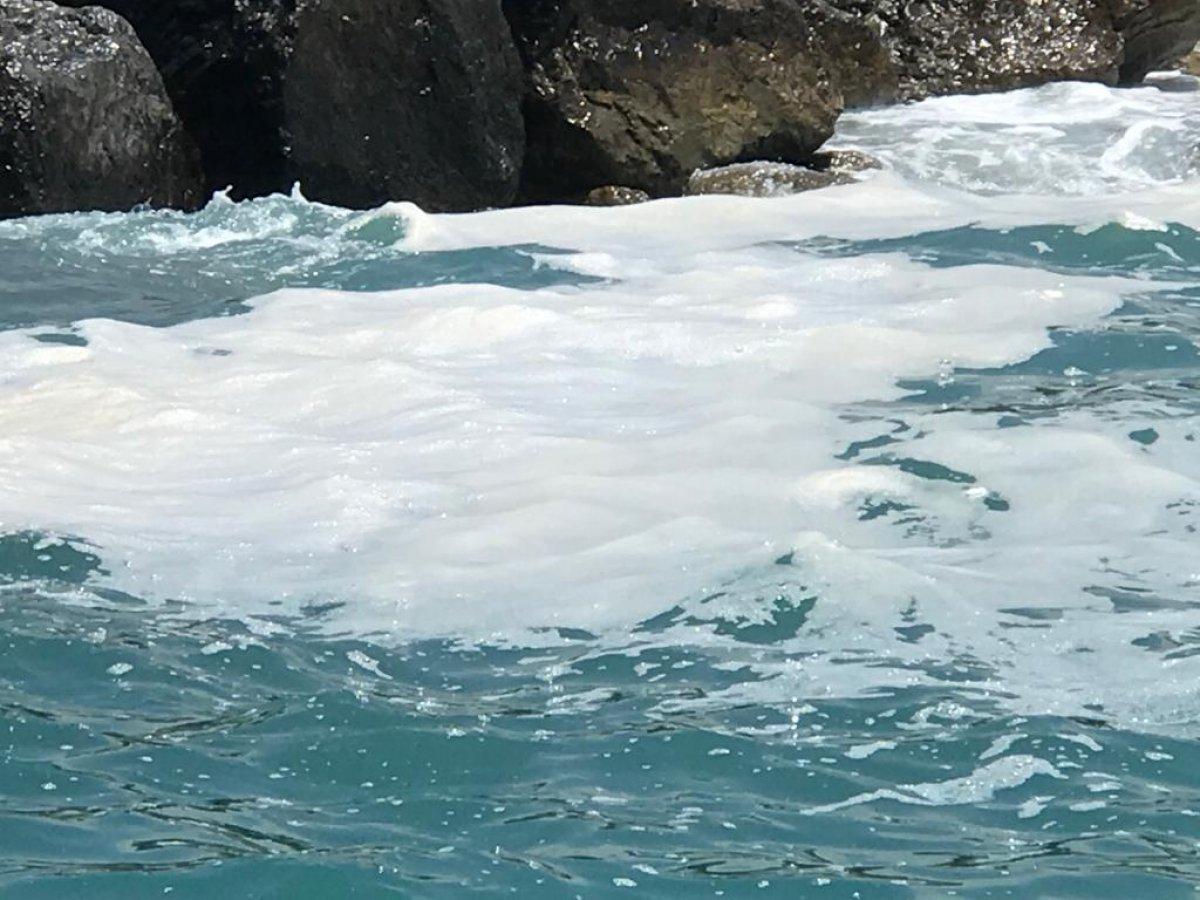 Doğu Akdeniz'de müsilaj endişesi