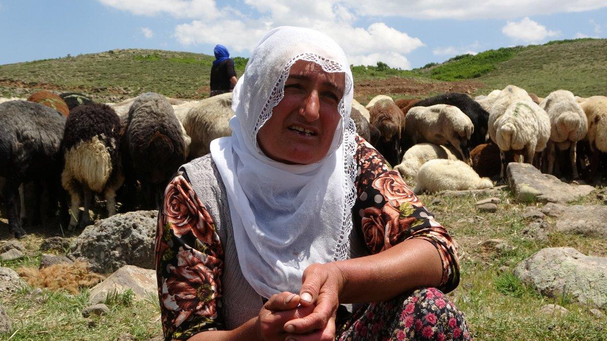 Muş'ta berivanların ömrü at sırtında geçiyor