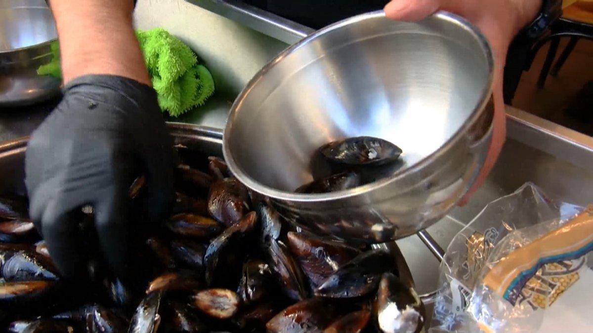 Marmara'da kaçak midye avcıları görüntülendi