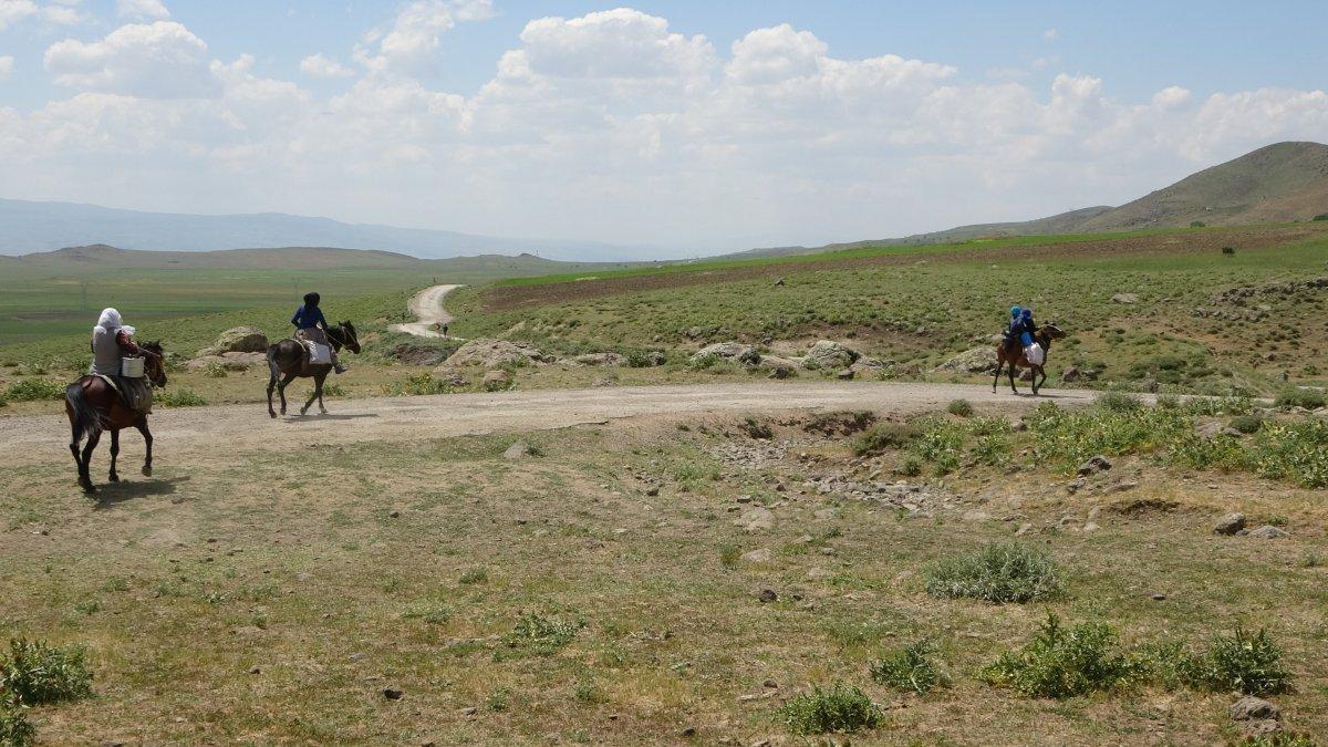 Muş'ta berivanların ömrü at sırtında geçiyor
