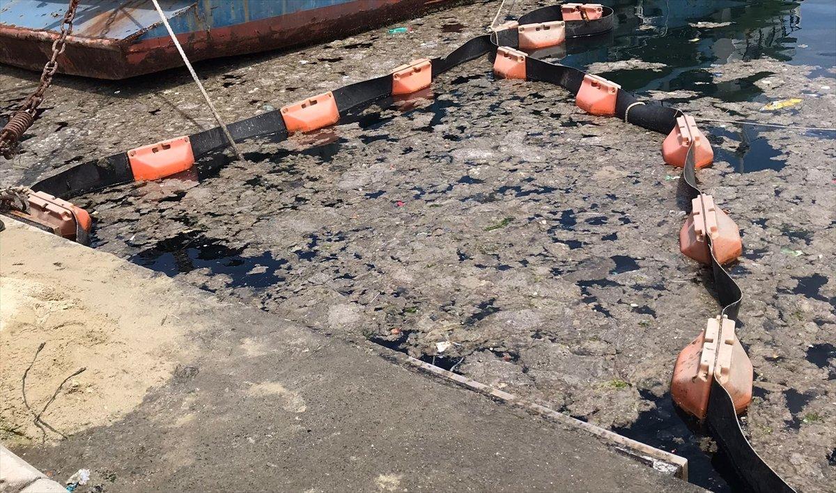 İstanbul Üniversitesi'nden müsilaj çözümü: Deniz bakteri izolatları