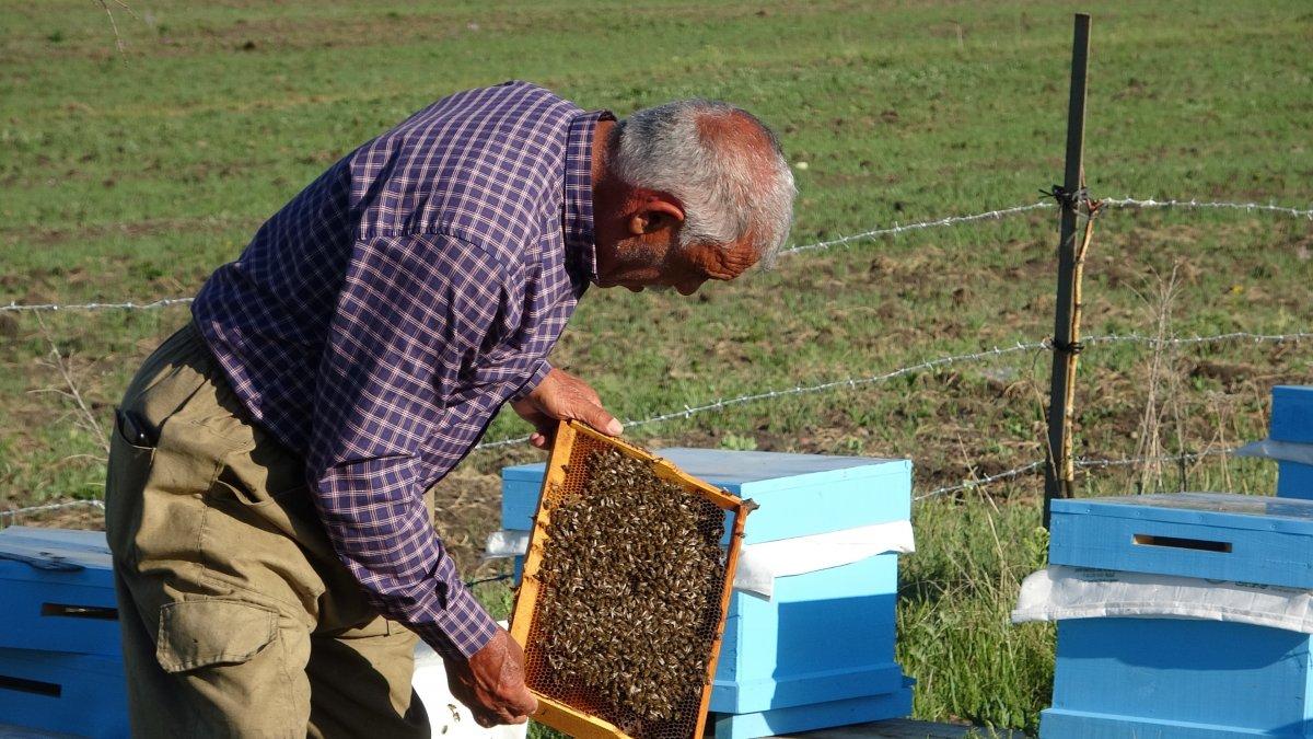 Arıcılık kuraklıktan olumsuz etkilendi