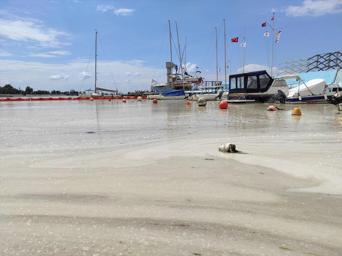 Caddebostan sahilinde yeniden müsilaj yoğunluğu oluştu