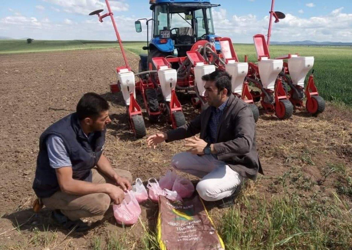 Alternatif tarımla çeşitlilik arttı