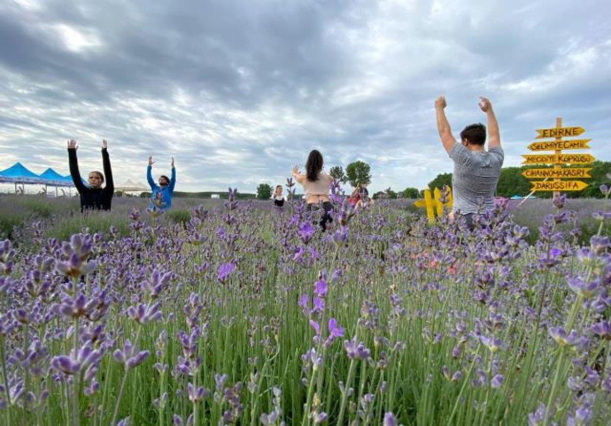 Edirneli ressamlar mor lavanta tarlalarını çizdi