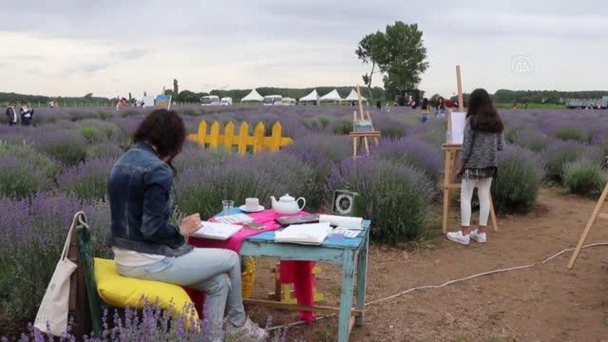 Edirneli ressamlar mor lavanta tarlalarını çizdi