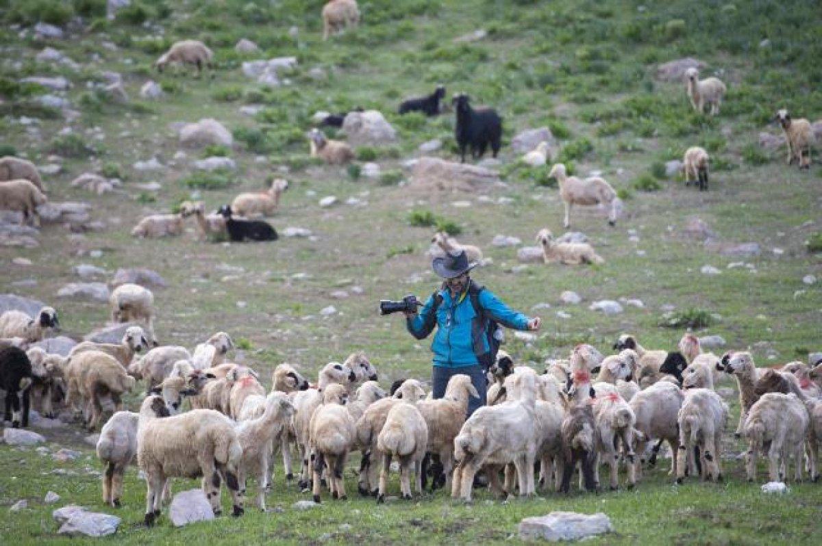 Terörden arınan Tunceli huzura kavuştu, doğal güzellikleri ortaya çıktı