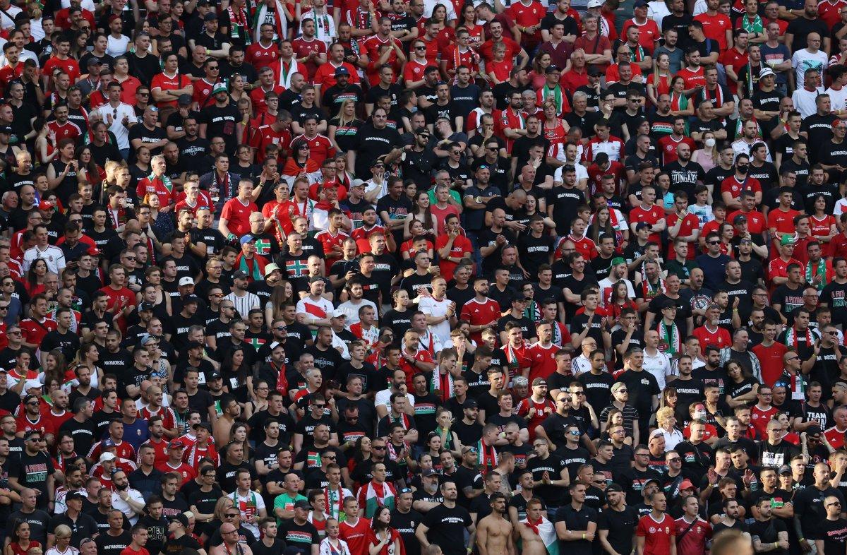 Macaristan-Portekiz maçında tribünlerde renkli görüntüler oluştu
