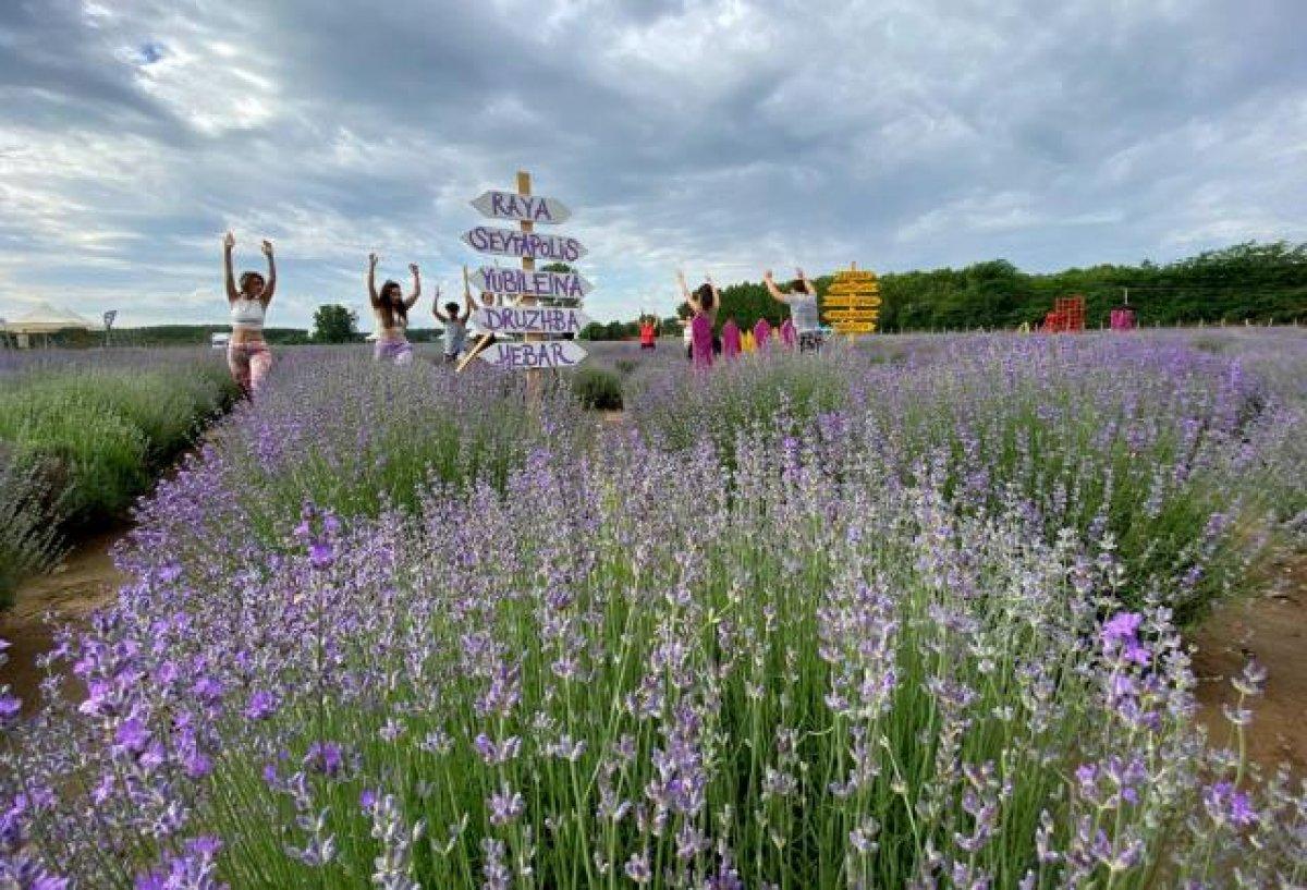 Edirneli ressamlar mor lavanta tarlalarını çizdi