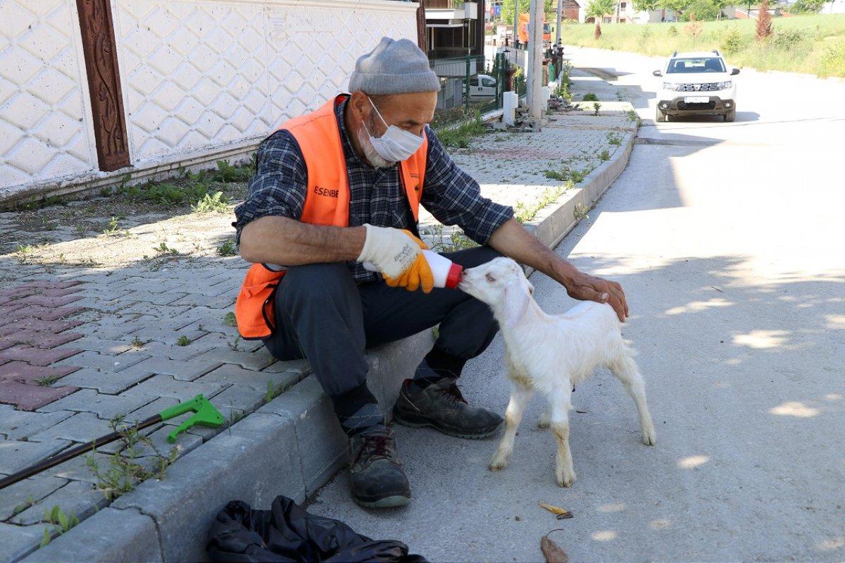 Bolu'da temizlik işçisi, peşinden ayrılmayan oğlağıyla cadde ve sokakları temizliyor