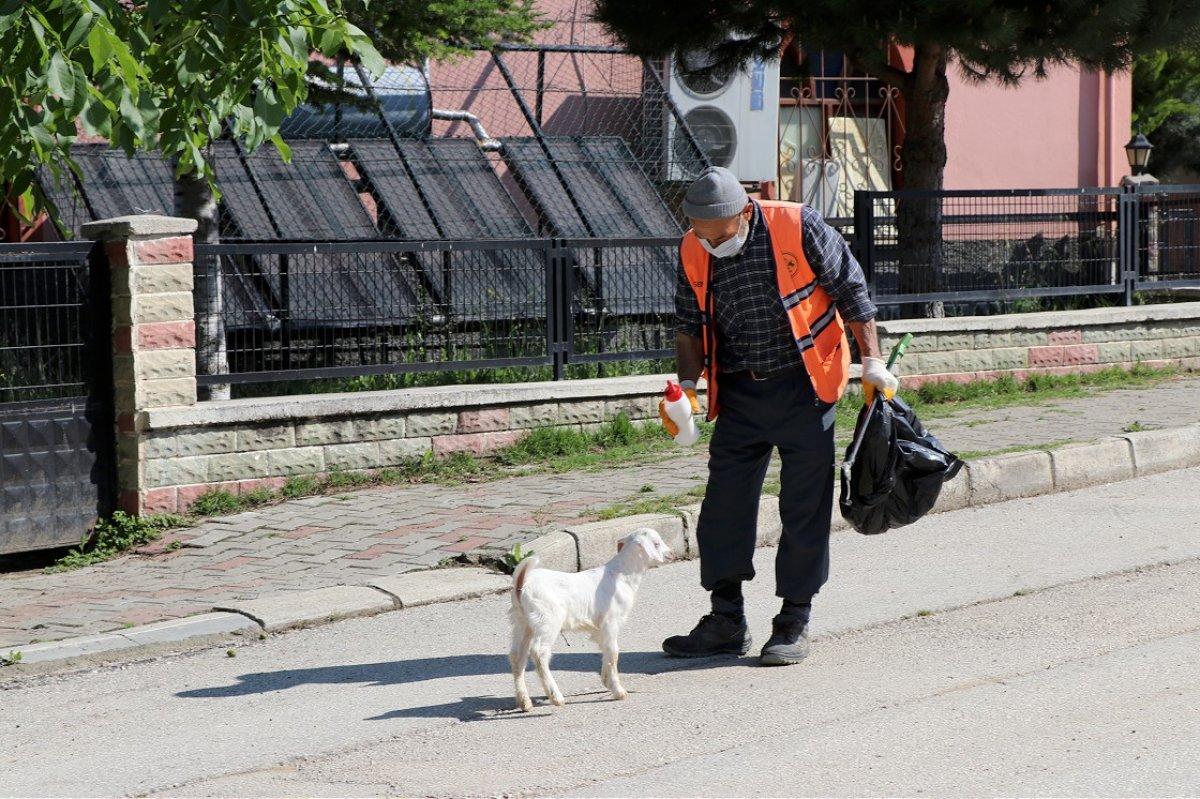 Bolu'da temizlik işçisi, peşinden ayrılmayan oğlağıyla cadde ve sokakları temizliyor