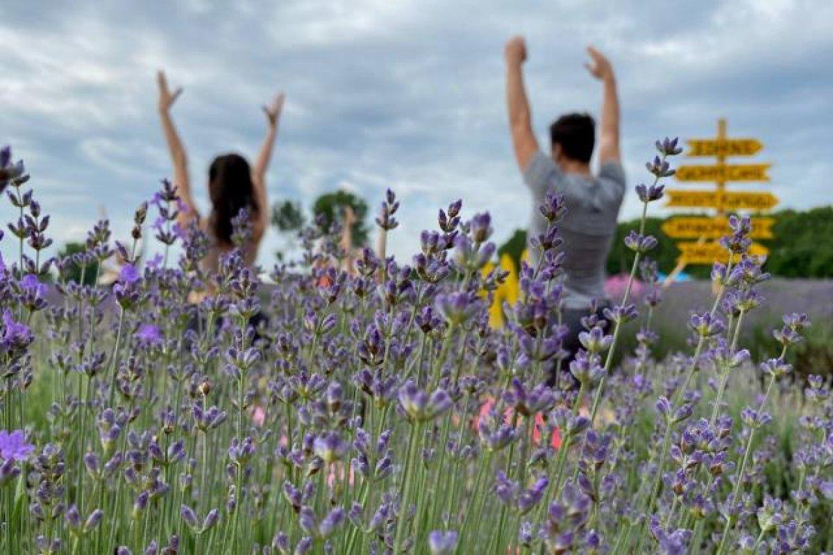 Edirneli ressamlar mor lavanta tarlalarını çizdi
