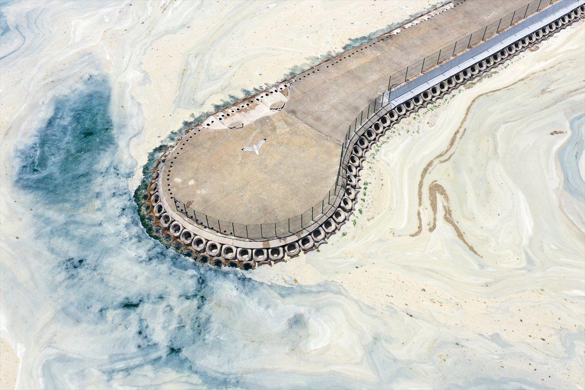 Caddebostan sahilinde yeniden müsilaj yoğunluğu oluştu