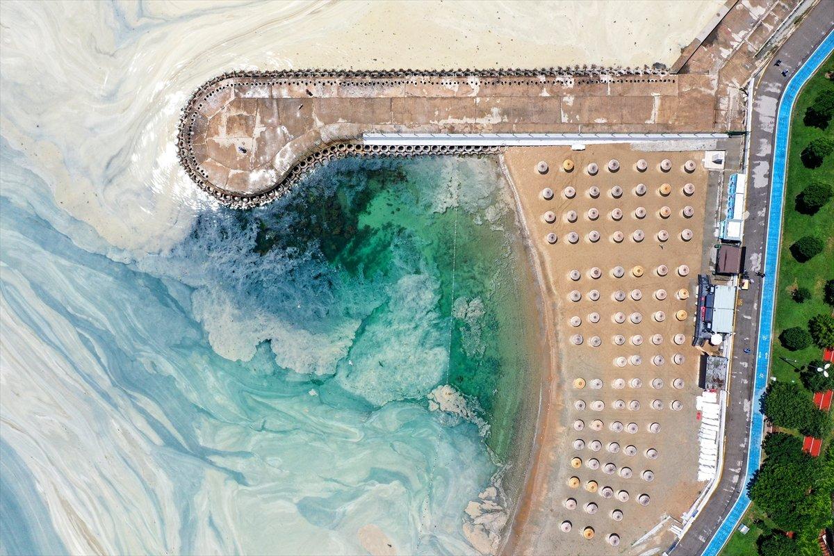 Caddebostan sahilinde yeniden müsilaj yoğunluğu oluştu