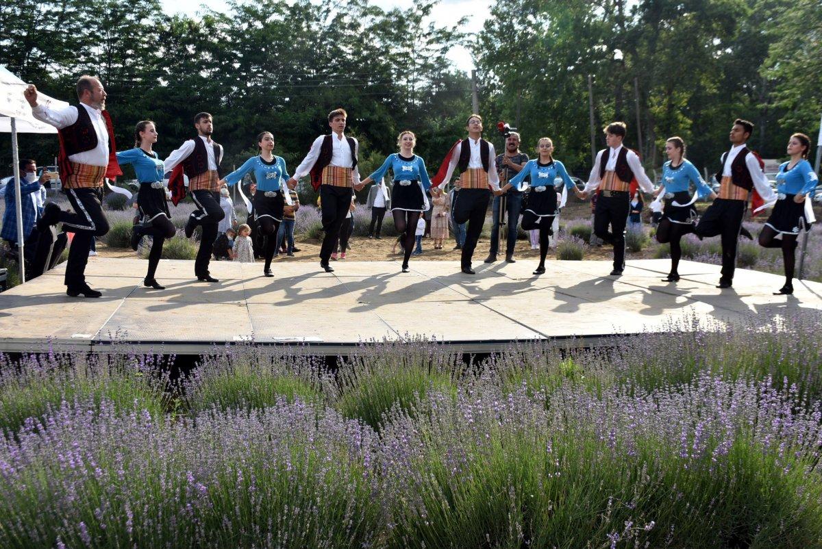 Edirne'de mor tarlalar festival alanına döndü