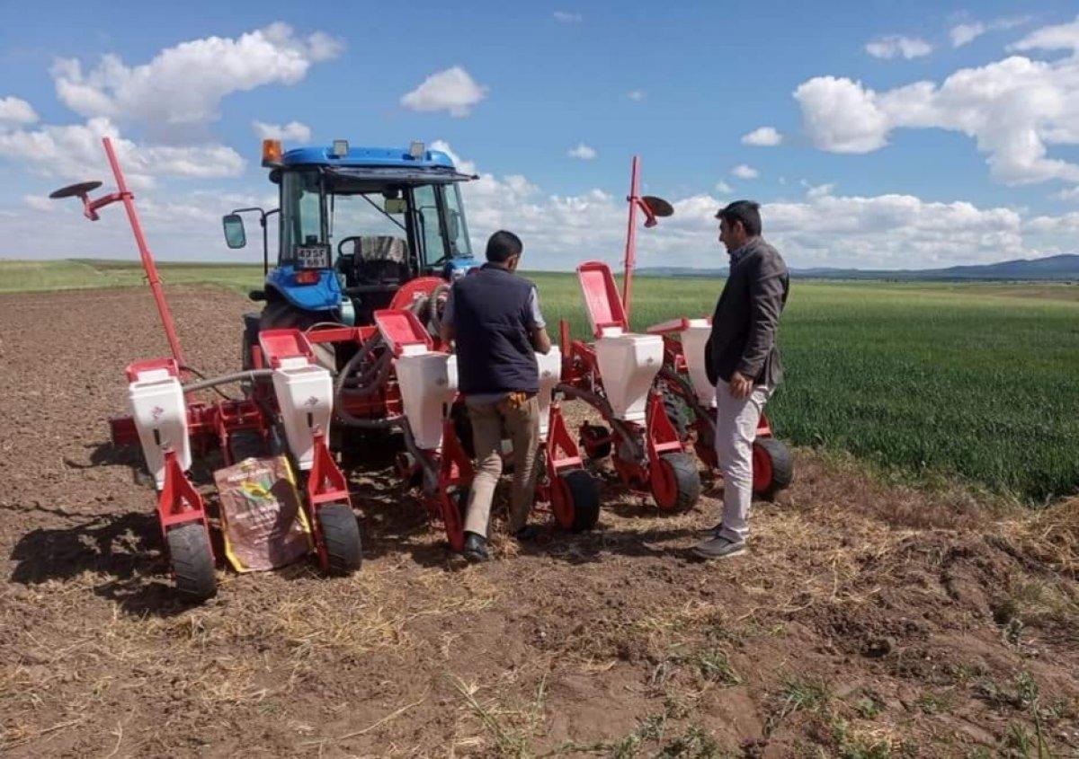 Alternatif tarımla çeşitlilik arttı