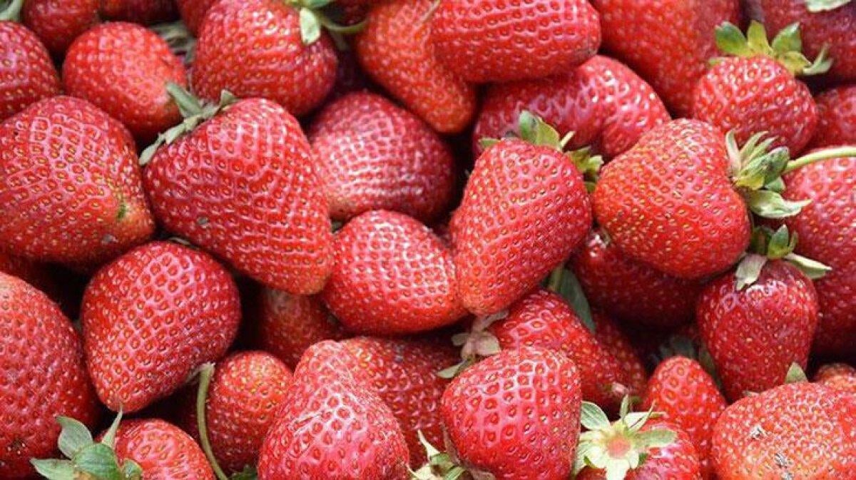 Tiroidinizi çalıştırmak için iyot açısından zengin 20 besin