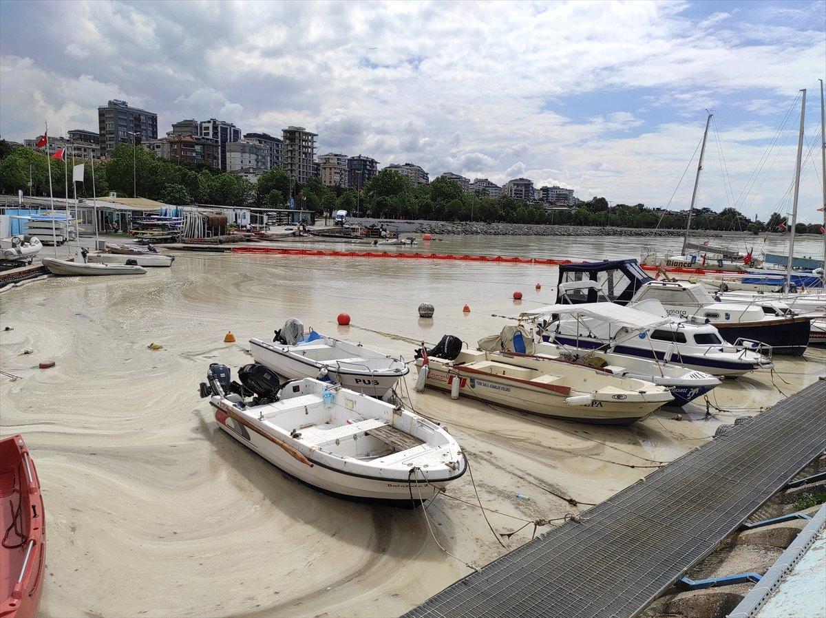Caddebostan sahilinde yeniden müsilaj yoğunluğu oluştu