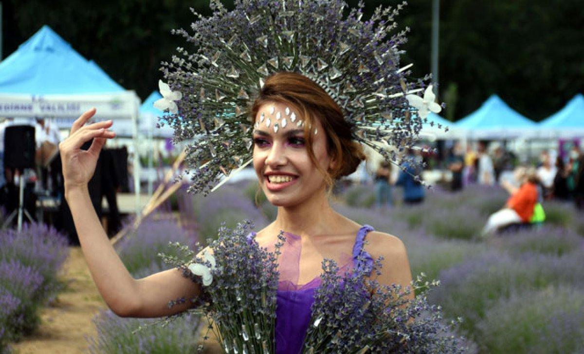 Edirne'de mor tarlalar festival alanına döndü