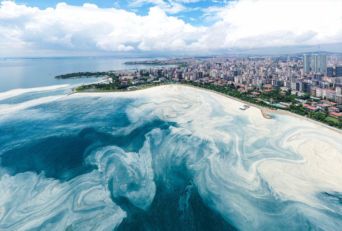 Caddebostan sahilinde yeniden müsilaj yoğunluğu oluştu