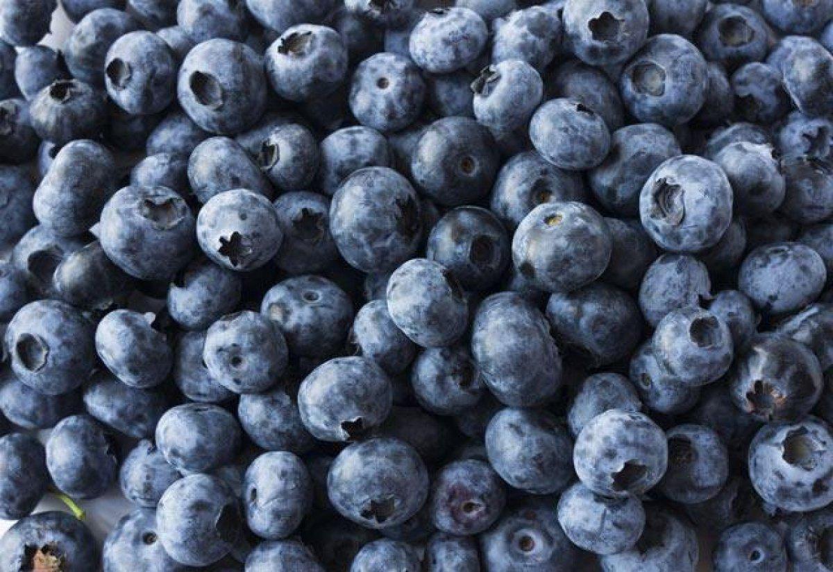 Tiroidinizi çalıştırmak için iyot açısından zengin 20 besin